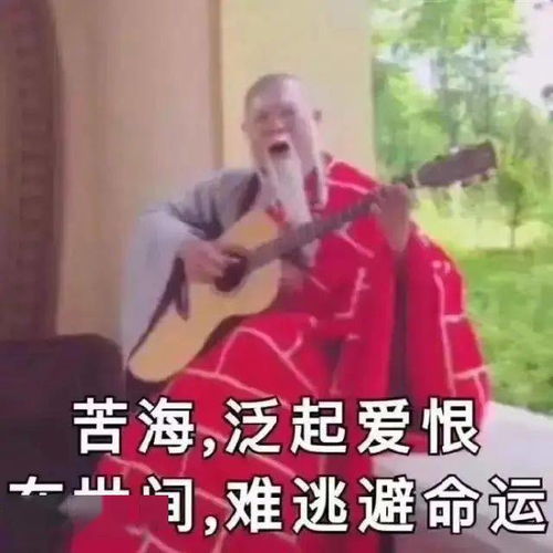  万圣爱宠装扮夜不给糖就捣蛋