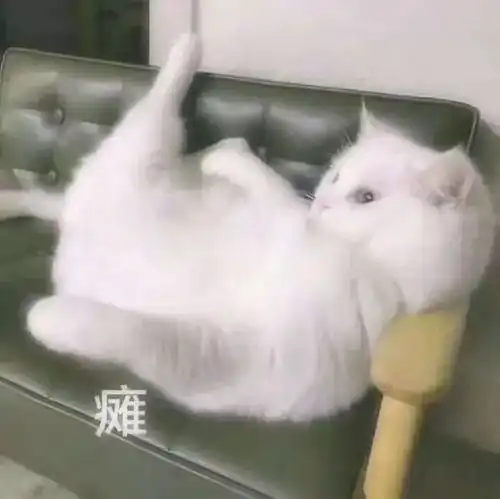  社恐人士最难受的瞬间,是我本人了段子