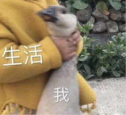  权益直通车为心减负,畅享研途