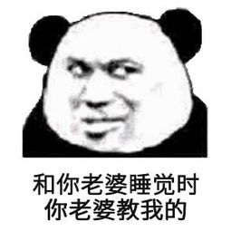  熊猫头表情包我就静静地看着你装逼