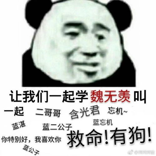  跪求我们一起学魏无羡叫的表情包谢谢了