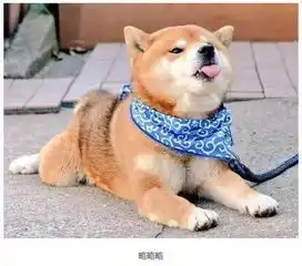  幽默笑话护士长你真的是专业的吗,看把老太太扎的满头大汗的