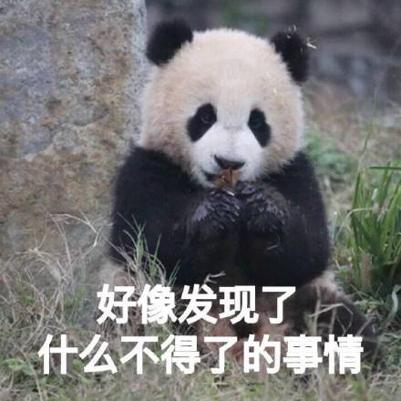  表情包滚滚滚
