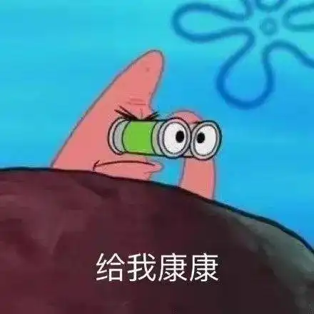 罗罗布表情包像素版这年头