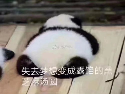  不办公的情况下,村民能随便进入玩电脑吗