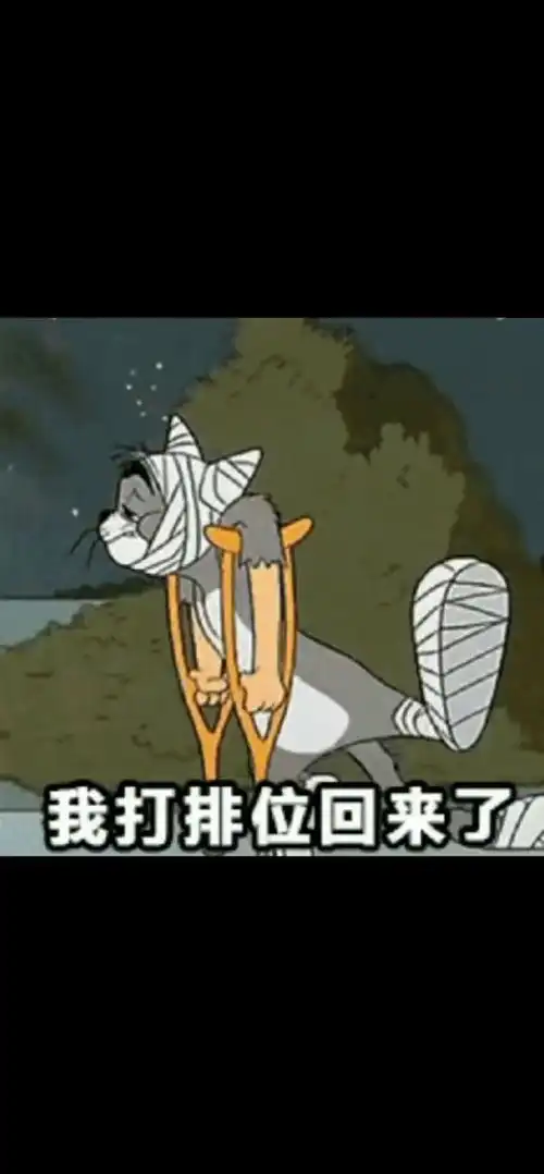  把这个发给经常打排位输的人情侣日常热门聊天记录沙雕表情包
