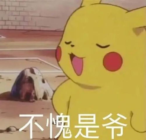 对不起鸭的表情包三爷