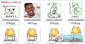  我开四方了表情包安卓版飞翔下载下载
