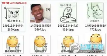  我开四方了表情包安卓版飞翔下载下载