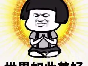 渡劫飞升搞笑表情包菩萨