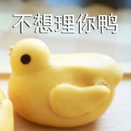  表情包一弹组鸭鸭表情包哦