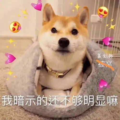  团学志工程志协策划部招新啦