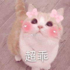  说出来你可能不信,我想回学校读书了