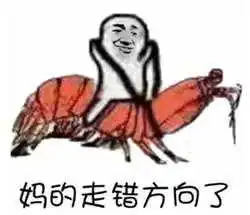  这几天爆红的皮皮虾,我们走到底是什么鬼
