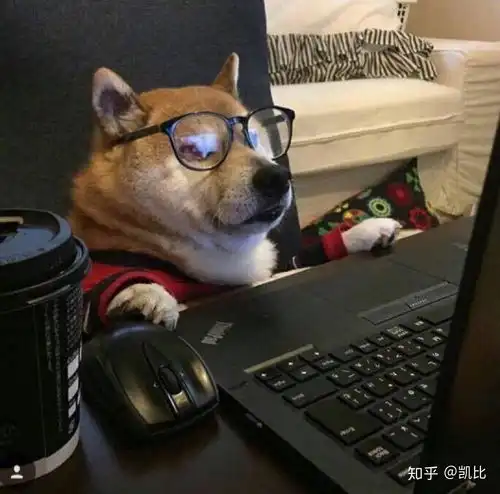  想知道大家在家里躺着,都是怎么度过的时光