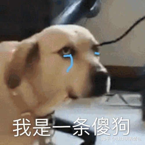  最新表情包谢谢你这么忙,还来伤害我