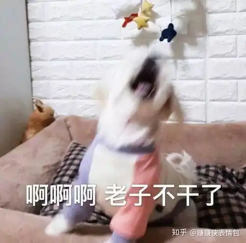 加微信的表情包微信朋友
