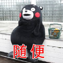  熊本熊口头语表情包无水印