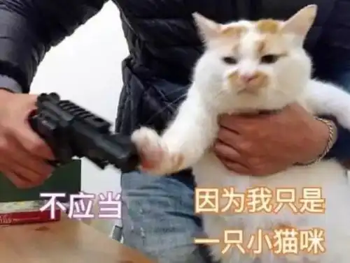  留学的你,今天,是不是又秃了些