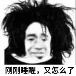  你在姐妹手机里能沙雕成什么样网友评论笑疯哈哈哈