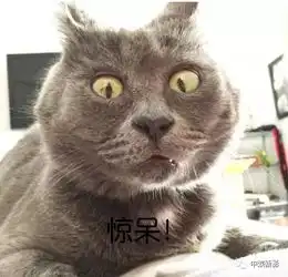  感受科技的力量王锦涵参加北京科普基地之旅