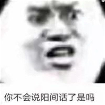  宝藏熊猫头的搞笑表情大全