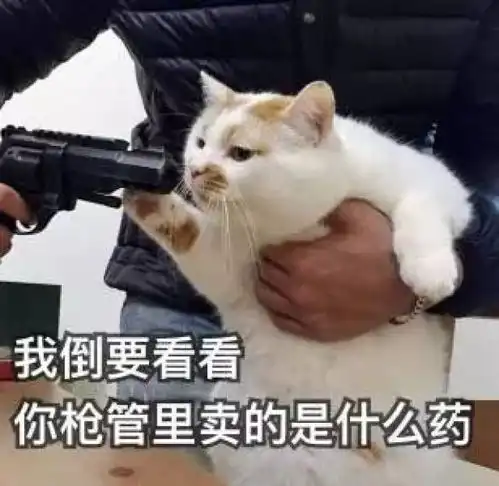 算我求你的表情包猫握手