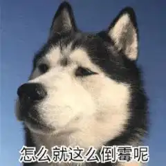  喜欢凑热闹是种什么体验吃瓜群众不好当啊