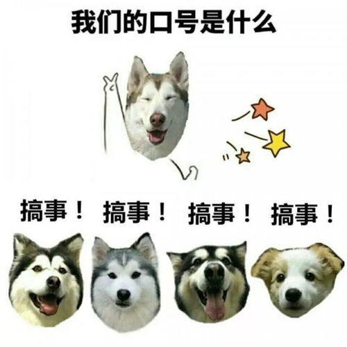  头号玩家解锁二外游戏全副本荣耀四年坎坷通关历史大曝光