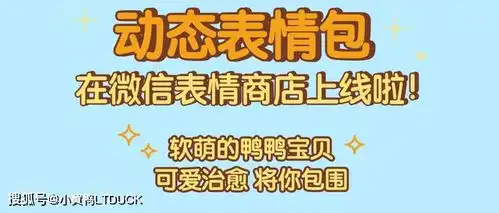  ltduckbaby小黄鸭表情包可爱上线