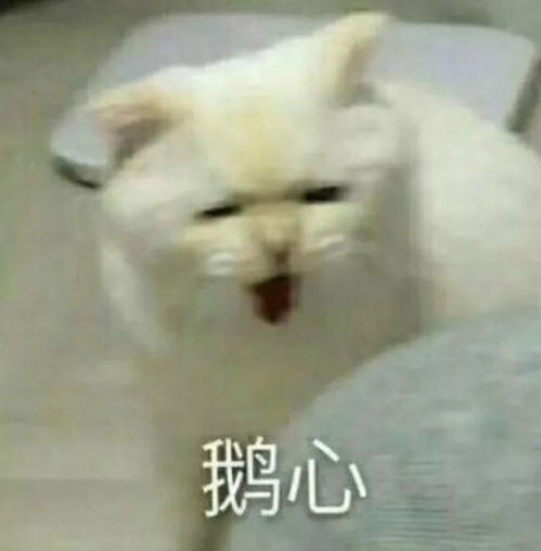 平价替代真能替代大牌对不起,我不信