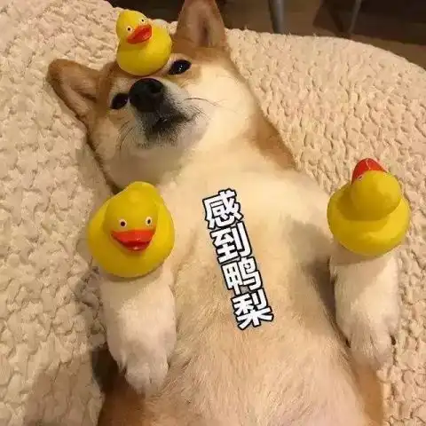  许晴张韶涵在网友镜头下的真实颜值差距竟这么大
