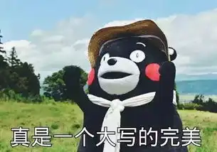  今年闭园前的一波大福利,抓住价期的尾巴吧,水上滑道摩天轮....玩