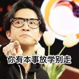  斗图装逼必备,薛之谦的250个表情包来啦