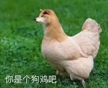 狗头表情包原型干饭
