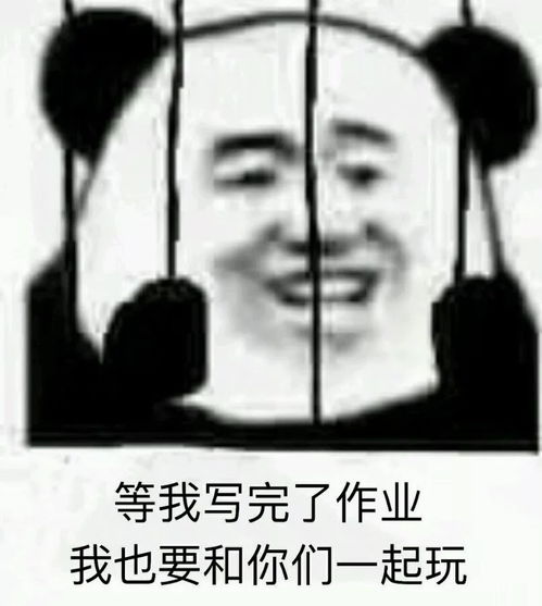  每日表情微信聊天表情