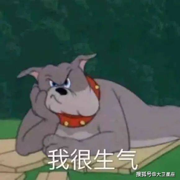  12星座快问快答之准到看完想打人