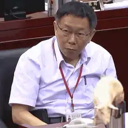 谁有这类图片,越多越好 谁有这类图片,越多越好