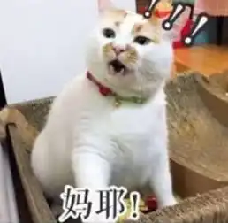  刚交完学费就要被遣返两留学生贪小便宜吃大亏