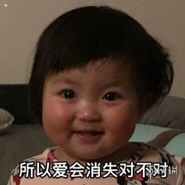  所以爱会消失对不对表情包所以爱会消失对不对表情包大全