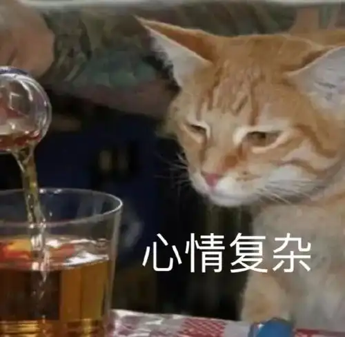  小黄脸熊猫头小猫咪让人开心的就是好表情包