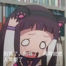  有群人专门诈骗追星女孩,一骗几百万,完事儿就消失丨黑皮手册034