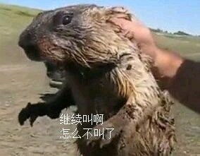  北京北三环大仙们,还想狙击欢乐姐脑子抽了,直接被福达合金603045聊吧赢家聊吧