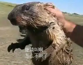  北京北三环大仙们,还想狙击欢乐姐脑子抽了,直接被福达合金603045聊吧赢家聊吧