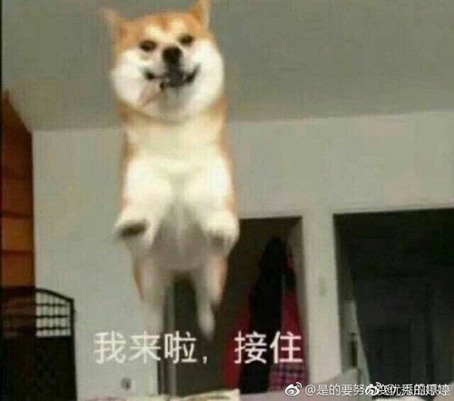  男朋友这是什么脑回路