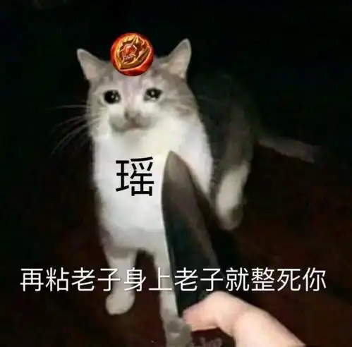  请问为什么王者荣耀中对辅助瑶的戾气那么重