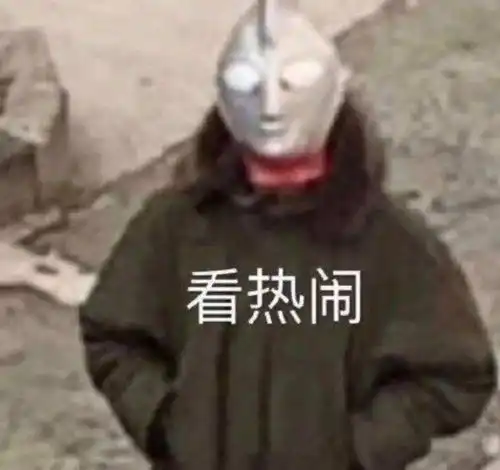  金鸡红毯太卷宁静着装最清凉,金晨排骨胸抢镜,徐娇拍照不离场