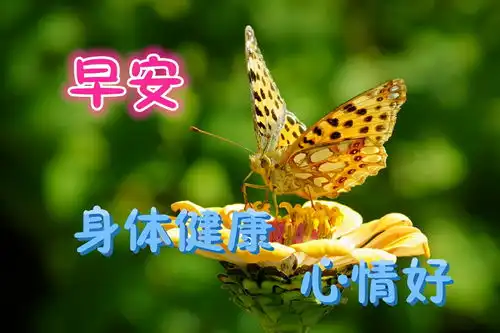  早安精选祝福图片,早上好温馨祝福心语
