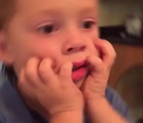  表情包界的扛把子如此画风清奇的迷之尬笑,就问你喜不喜欢