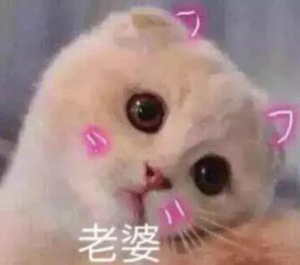猫捏脸表情包手绘我就是